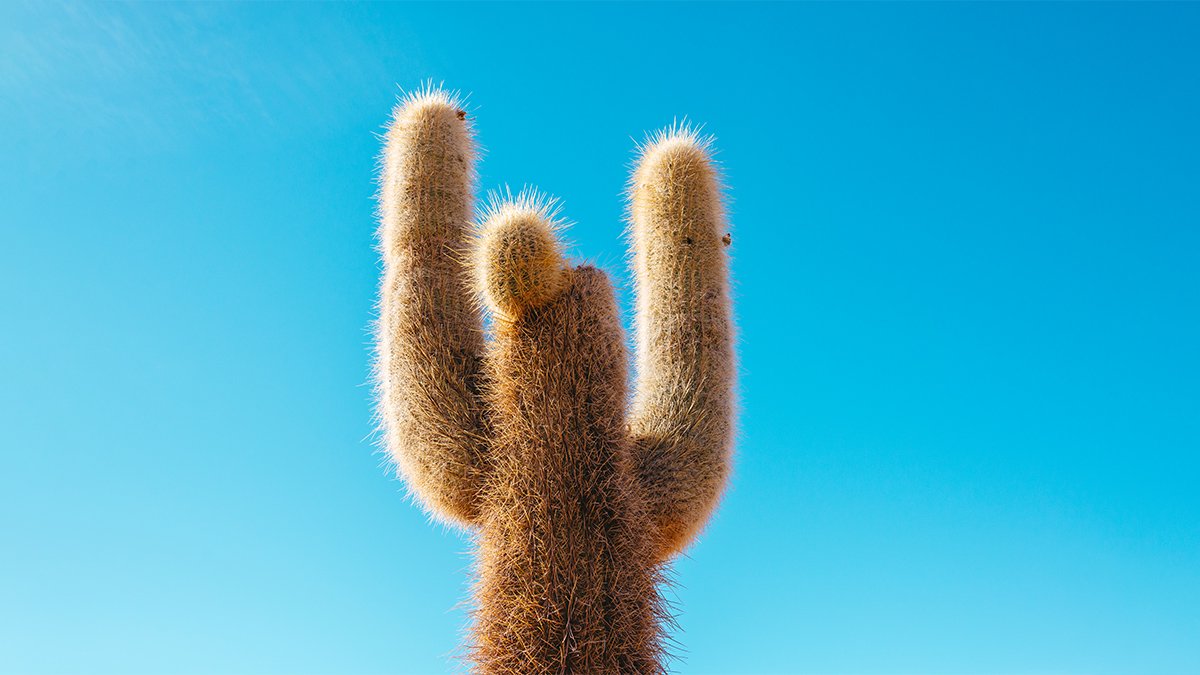 Anyone Can Learn to Be a Better Leader